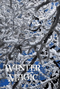 Winter Magic third edition front cover image
