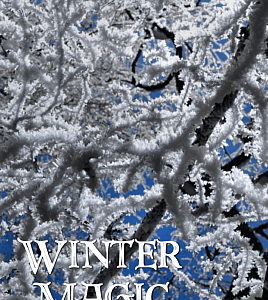 Winter Magic third edition front cover image