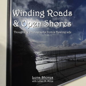 Winding Roads and Open Shores front cover image