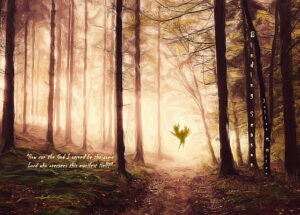 Full wrap hardcover image for Binding Season